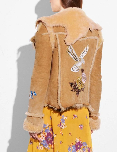 Shop Coach Eagle Raggedy Shearling Jacket In Toffee