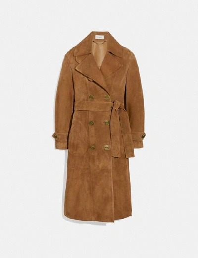Shop Coach Suede Trench Coat In Color<lsn_delimiter>cappuccino