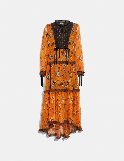 Shop Coach Rose Print Tiered Dress - Women's In Orange