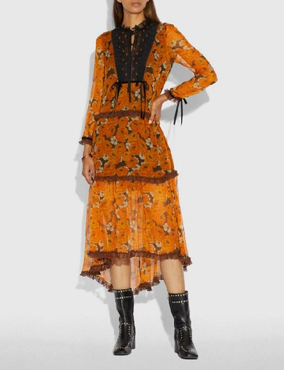 Shop Coach Rose Print Tiered Dress - Women's In Orange