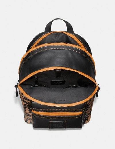 Shop Coach Academy Backpack In Signature Canvas With Rexy By Guang Yu In Khaki/black Copper