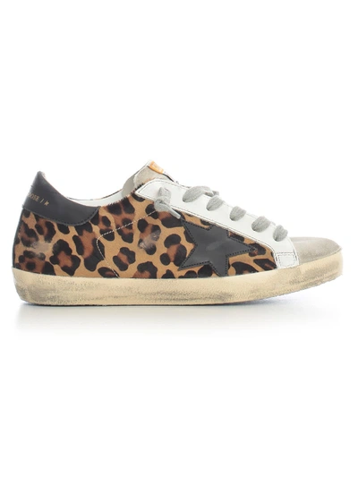 Shop Golden Goose Sneakers Superstar Leather Leopard In Snow Leopard Black Star