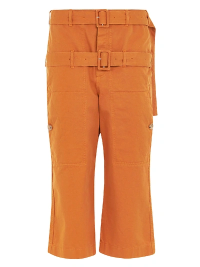 Shop Lanvin Double Belt Trousers In Brown