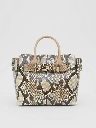 Shop Burberry The Small Python Triple Stud Belt Bag In Natural/pale Drift