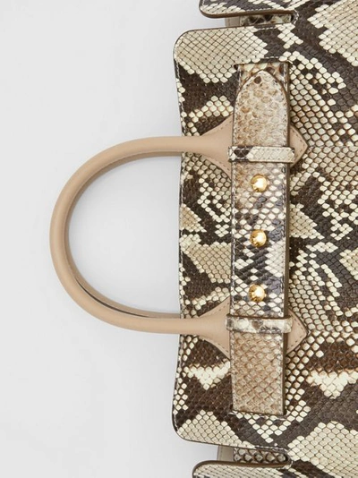 Shop Burberry The Small Python Triple Stud Belt Bag In Natural/pale Drift