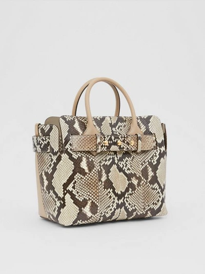 Shop Burberry The Small Python Triple Stud Belt Bag In Natural/pale Drift