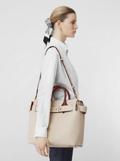 Shop Burberry The Medium Tri-tone Leather Belt Bag In Limestone/pale Drift