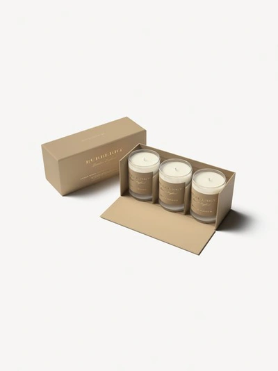 Shop Burberry Scented Candle Collection – Cedar Wood, Black Amber, Dewy Grass