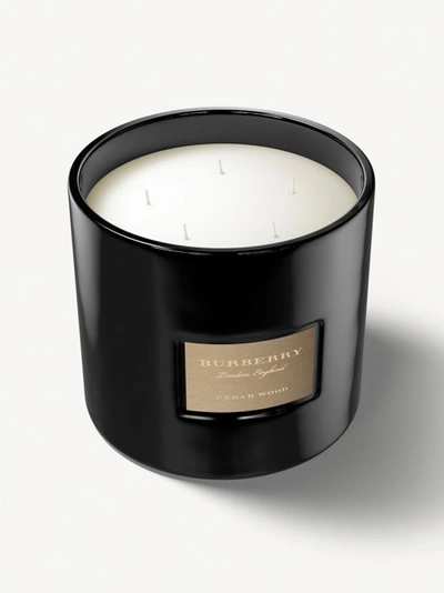 Shop Burberry Cedar Wood Scented Candle – 2kg