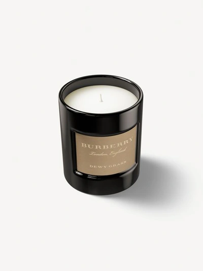 Shop Burberry Dewy Grass Fragranced Candle – 240g