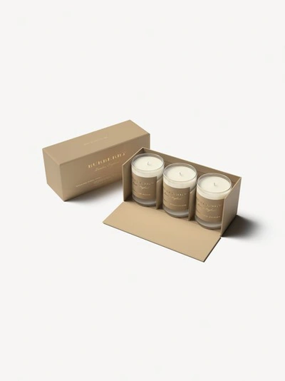 Shop Burberry Scented Candle Collection – Purple Hyacinth, Highland Berry, English Rose