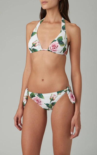 Shop Dolce & Gabbana Floral-print Bikini Briefs