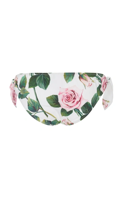 Shop Dolce & Gabbana Floral-print Bikini Briefs