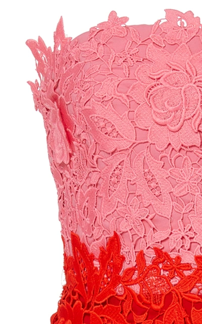Shop Lela Rose Strapless Two-tone Guipure Lace Midi Dress In Pink