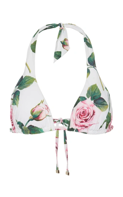Shop Dolce & Gabbana Floral-print Halterneck Bikini Top