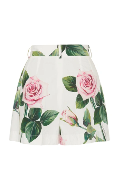 Shop Dolce & Gabbana Floral-print Cotton-poplin Shorts