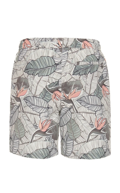 Shop Onia Charles 7 Palm-print Swim Shorts In Green
