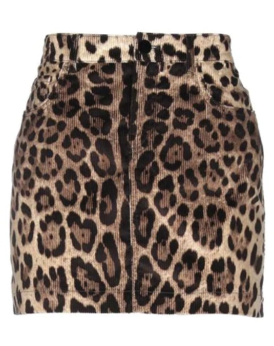 Shop Dolce & Gabbana Mini Skirts In Khaki