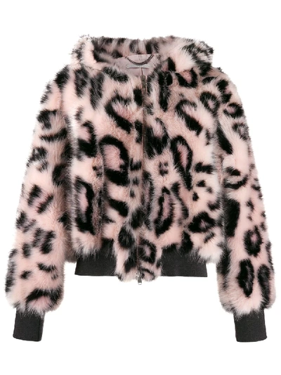 Shop Stella Mccartney Leopard Print Bomber Jacket In Black