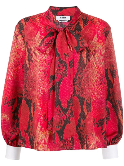 Shop Msgm Snake-print Blouse In Red