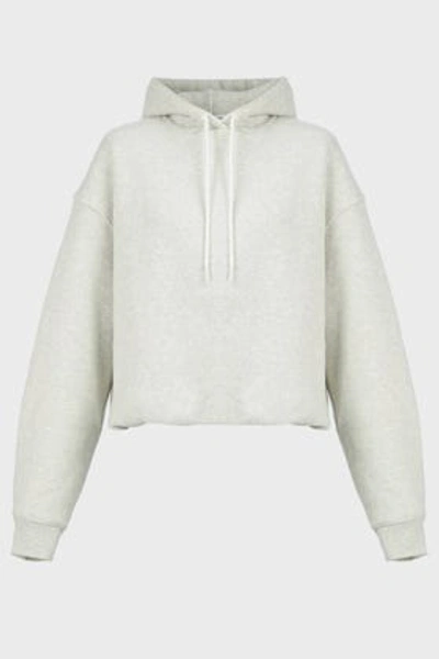 Shop Alexander Wang T Oversized Fleece Hoodie In Grey