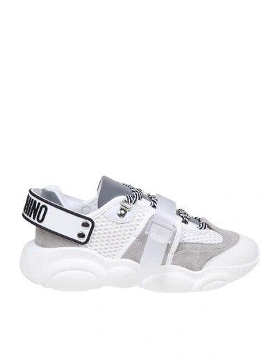 Shop Moschino Sneakers Teddy