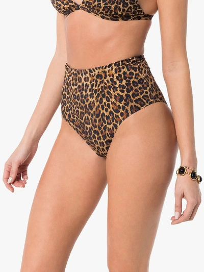 Shop Anemone Leopard Print High Waist Bikini Briefs In Brown