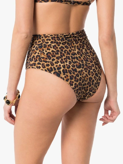 Shop Anemone Leopard Print High Waist Bikini Briefs In Brown