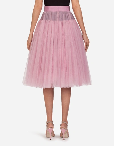 Shop Dolce & Gabbana Tulle Midi Skirt In Pink