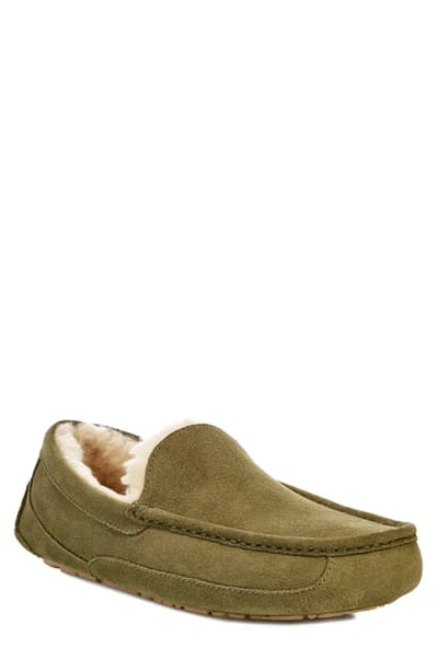 Shop Ugg Ascot Slipper In Moss Green Suede