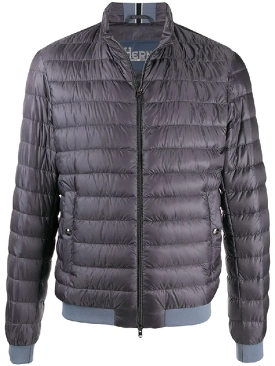 Shop Herno Padded Bomber Jacket In Grey