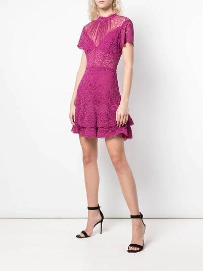 Shop Jonathan Simkhai Short Lace Dress In Pink
