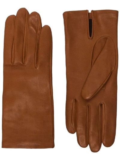 Shop Agnelle Kate Gloves In Brown