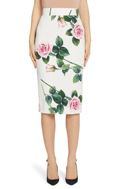 Shop Dolce & Gabbana Rose Print Pencil Skirt In White