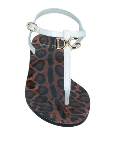Shop Dolce & Gabbana Toe Strap Sandals In White