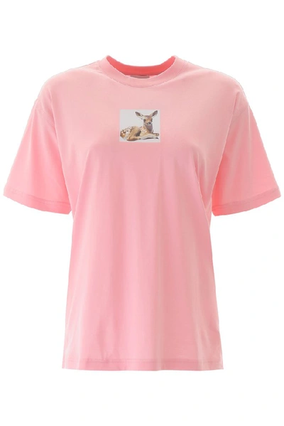 Shop Burberry Deer Printed T In Pink