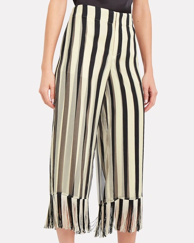 Shop Monse Striped Silk Chiffon Culottes In Blk/wht