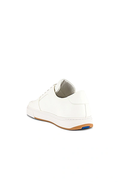 Shop Bottega Veneta Low Top Sneaker In Bianco