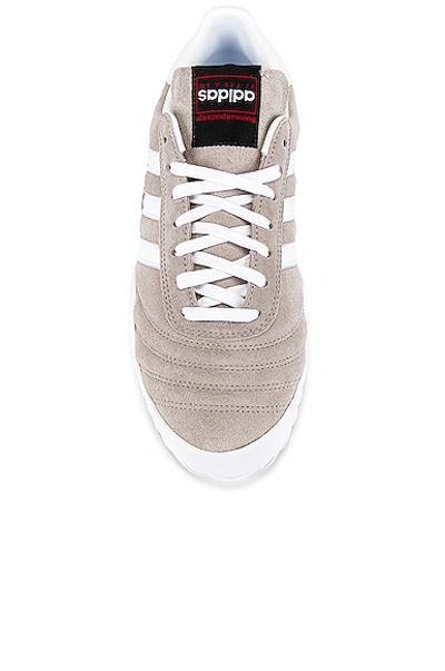 Shop Adidas Originals By Alexander Wang Bball Soccer Sneaker In Clear Granite & Core White