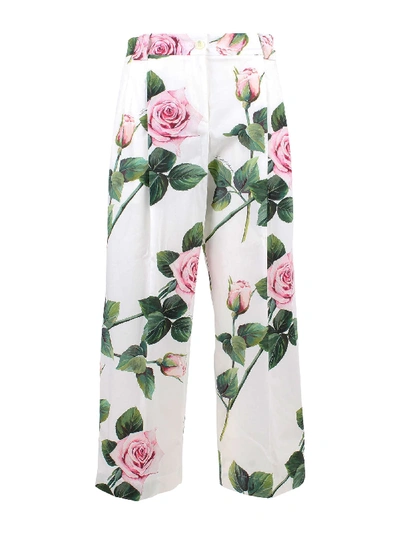Shop Dolce & Gabbana Cotton Trousers In Rose Rosa Fdo Panna