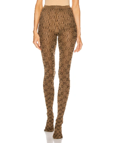 Gucci Gg Tights In Beige & Brown