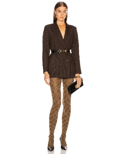 Shop Gucci Gg Tights In Beige & Brown