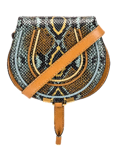 Shop Chloé Small Marcie Embossed Python Saddle Bag In Faded Blue