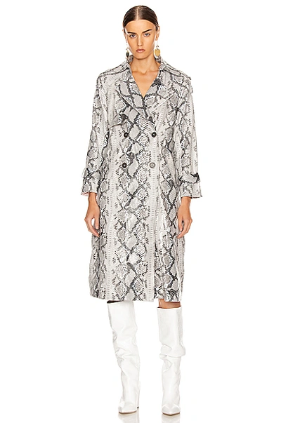 Shop Andamane Claretta Faux Leather Snake Print Trench Coat In Grey