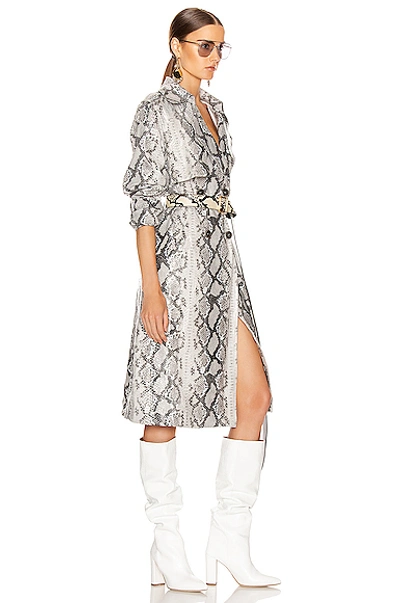 Shop Andamane Claretta Faux Leather Snake Print Trench Coat In Grey