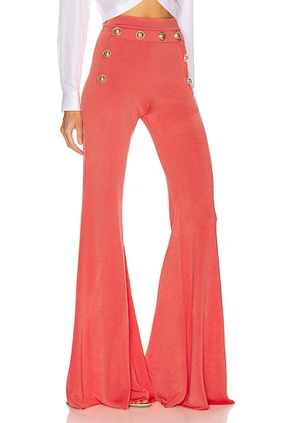 Shop Balmain Button Embellished Flare Pant In Rose