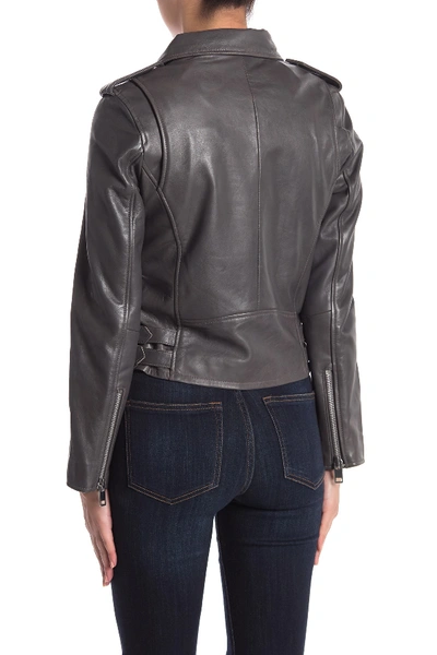 Shop Walter Baker Liz Leather Moto Jacket In Dark Grey