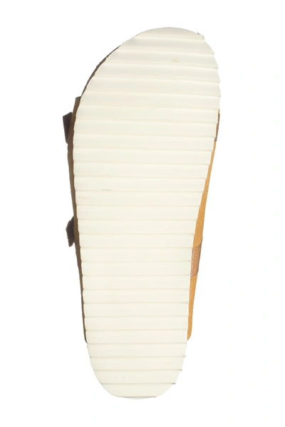 Shop Shoe The Bear Shore Leather Slide Sandal