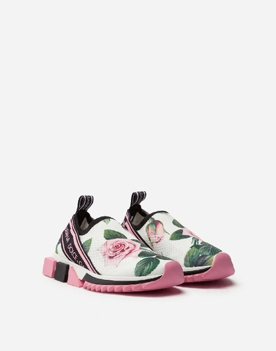 Shop Dolce & Gabbana Tropical Rose Print Stretch Mesh Sorrento Sneakers In Floral Print