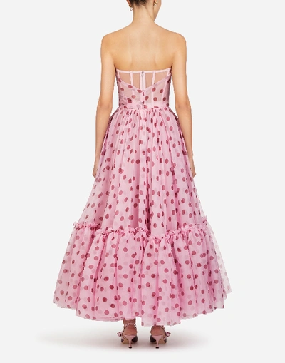 Shop Dolce & Gabbana Long Polka-dot Print Organza Dress In Pink